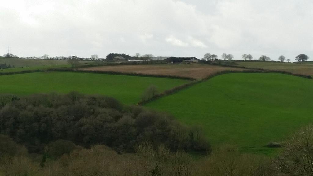 Pencubitt House Vendégház Liskeard Kültér fotó
